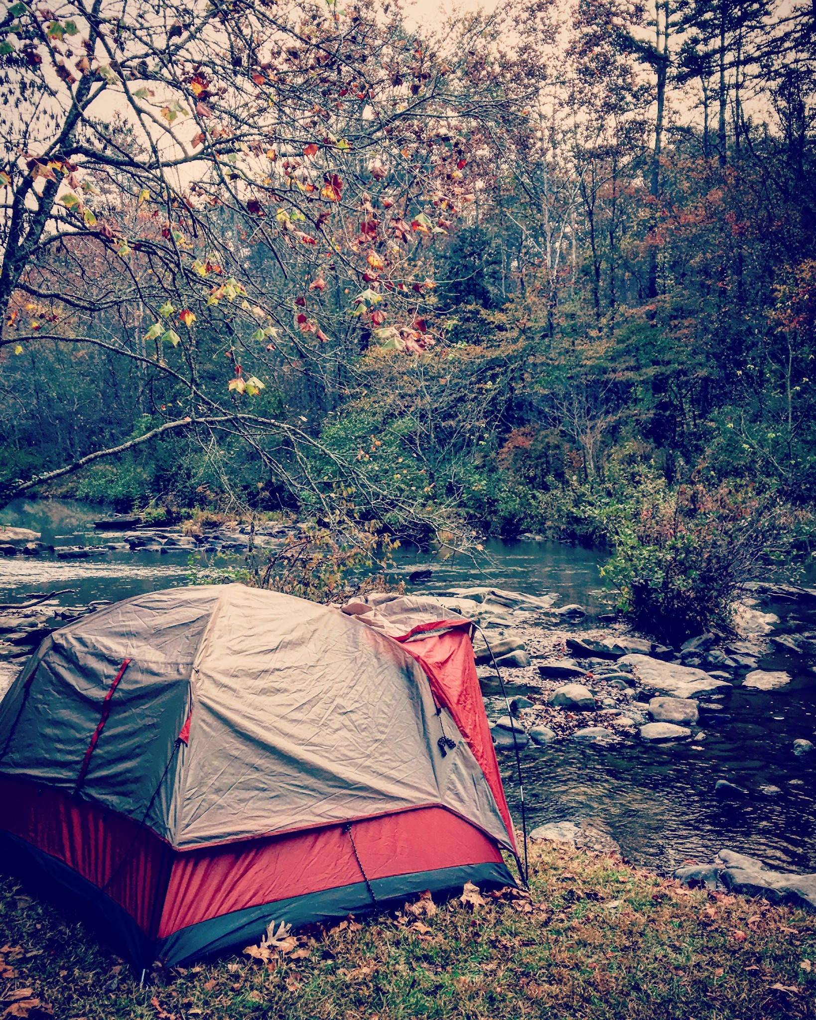 Tent campsite beside a river