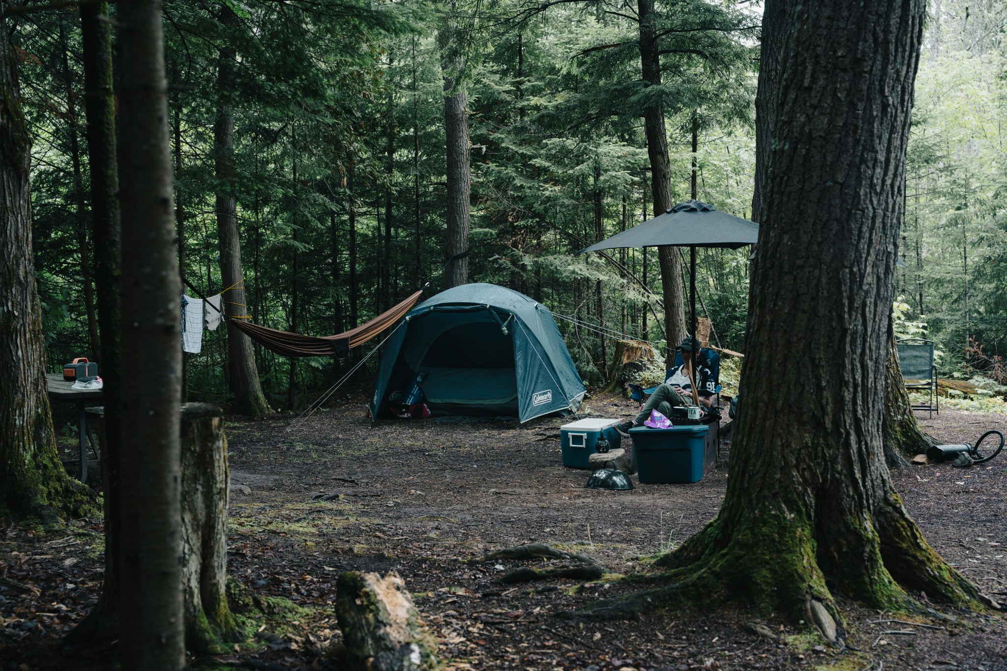 Campsite in a forest with tent and outdoor setup